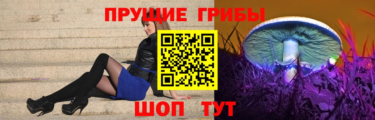 Псилоцибиновые грибы ЛСД Соль-Илецк