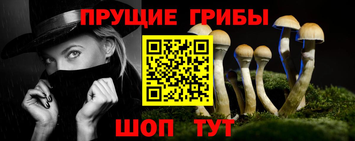 Псилоцибиновые грибы мухоморы  где можно купить   Соль-Илецк  Вход с VPN 